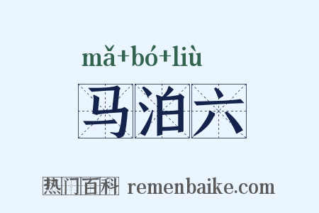 马泊六是什么意思的图片